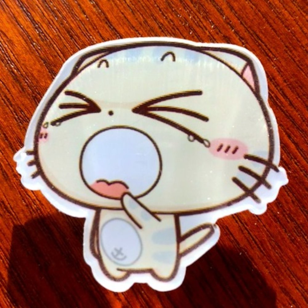 Sleepy Kitty Pin